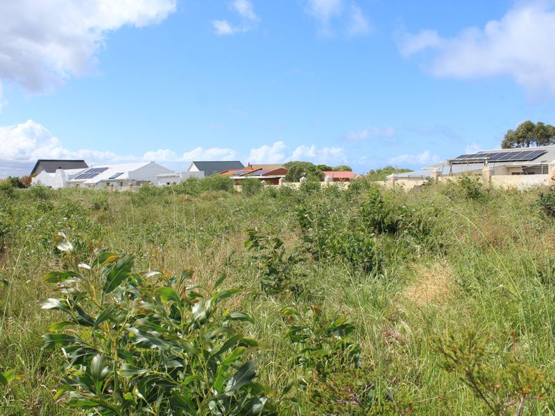 Vacant Panhandle Plot in Cul-de-Sac – Franskraal, Gansbaai | 911 m2 | Coastal Serenity on the Whale Coast - Photo 6