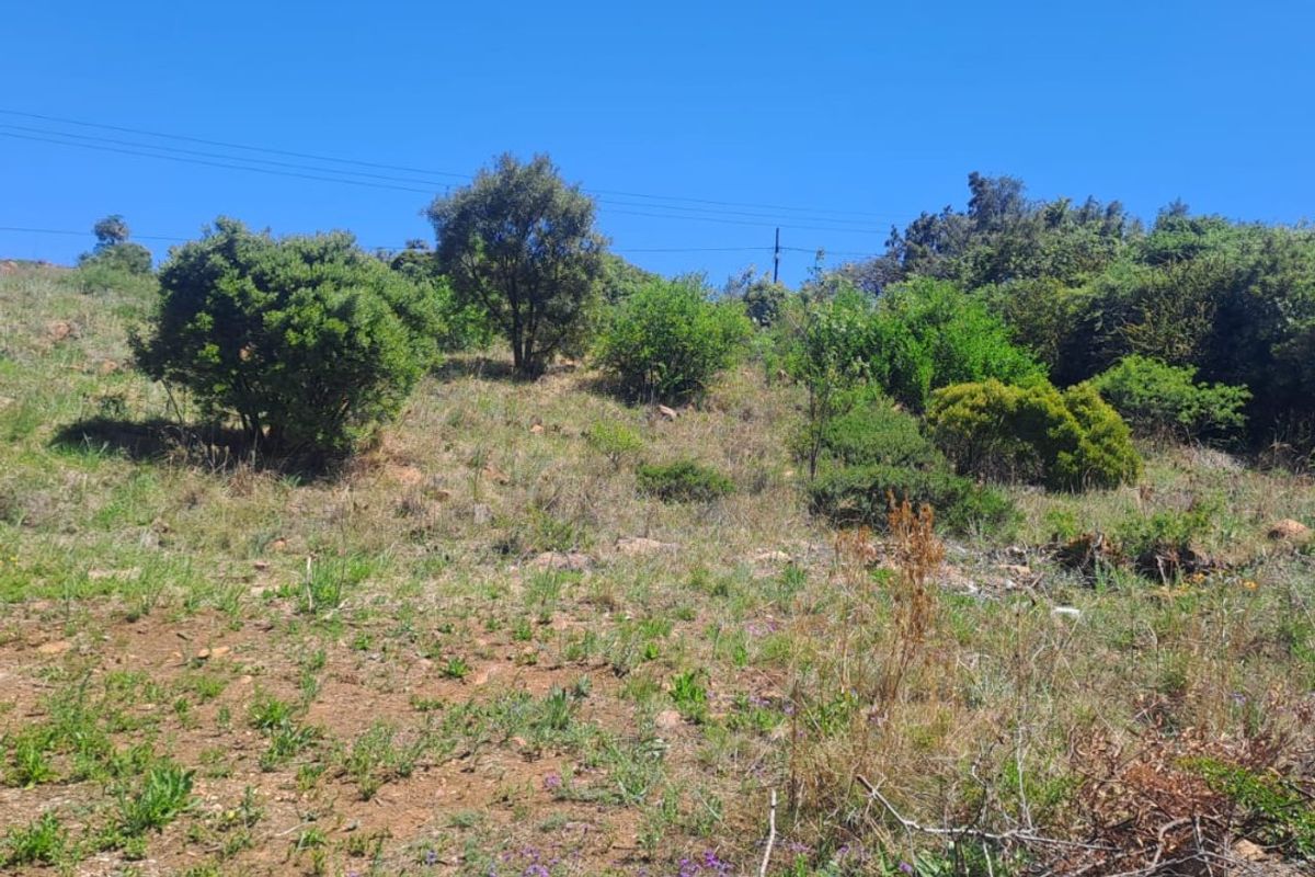 Prime Hilltop Vacant Stand - Photo 2