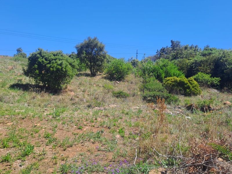 Prime Hilltop Vacant Stand - Photo 2