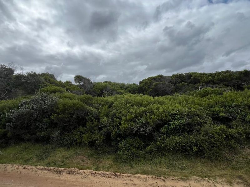 Vacant Land for Sale in Paradise Beach, Jeffreys Bay  - Photo 10