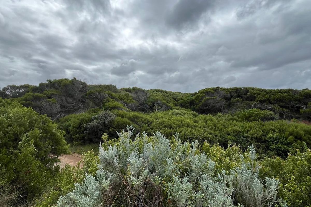 Vacant Land for Sale in Paradise Beach, Jeffreys Bay - Photo 4
