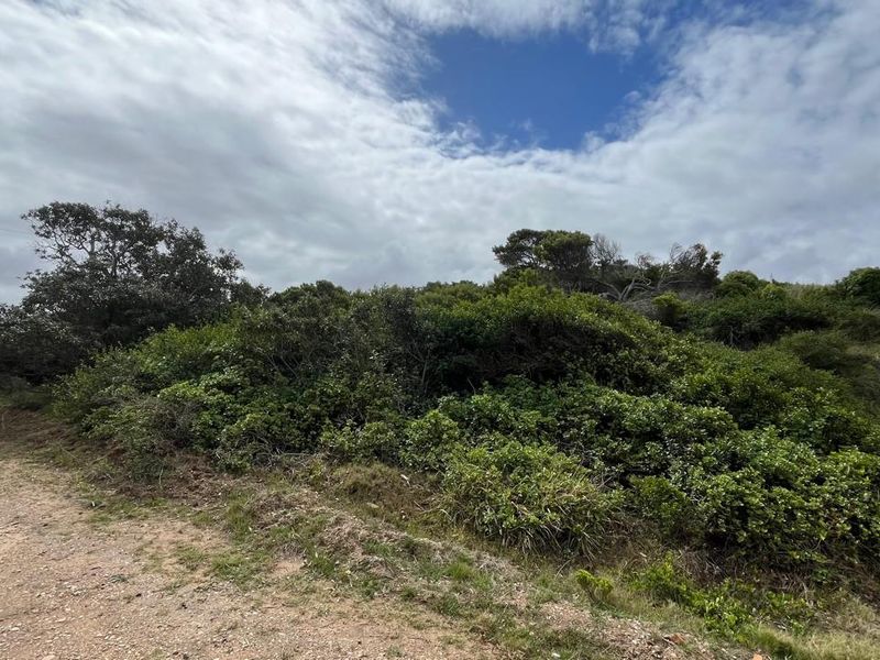 Vacant Land for Sale in Paradise Beach, Jeffreys Bay - Photo 6
