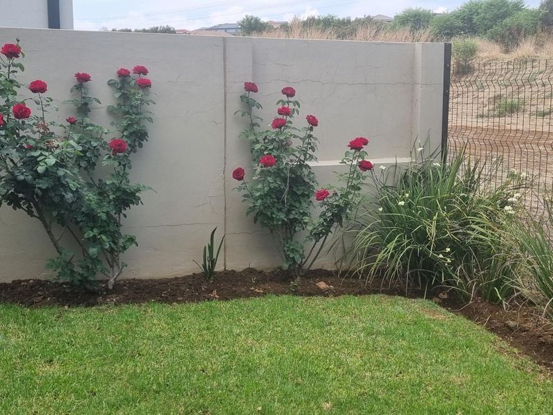 A garden area featuring a lawn, rose bushes, and a precast concrete boundary wall with visible structural cracking.