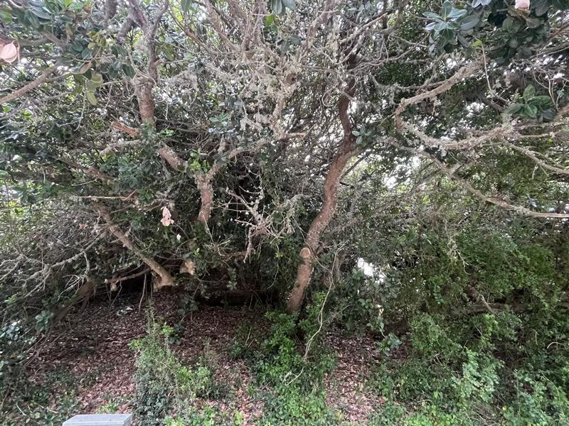 Vacant Land For Sale in Aston Bay  R509,000 - Photo 5