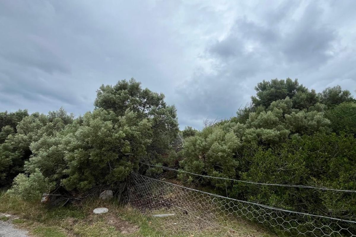 Vacant Land for Sale in Paradise Beach, Jeffreys Bay R476 000 - Photo 5