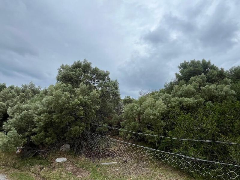 Vacant Land for Sale in Paradise Beach, Jeffreys Bay R476 000 - Photo 5
