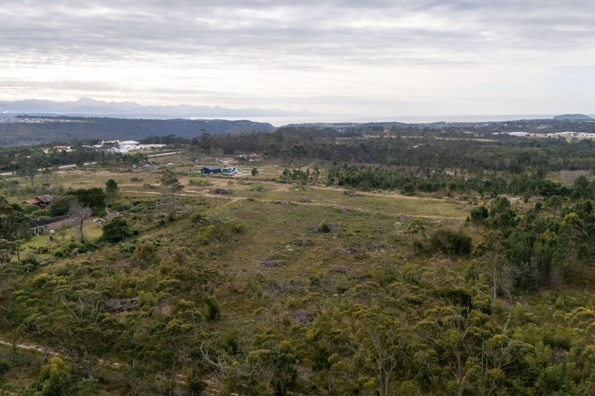 Sole Mandate - Photo 4