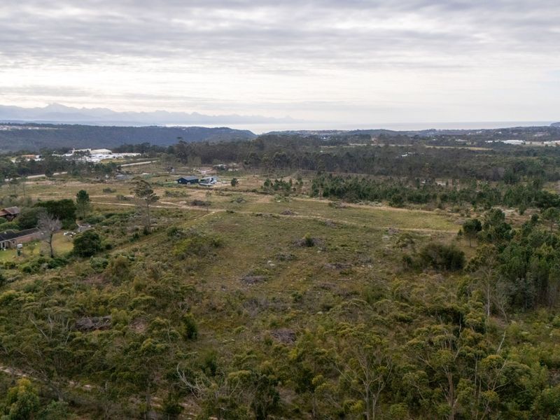 Sole Mandate - Photo 4