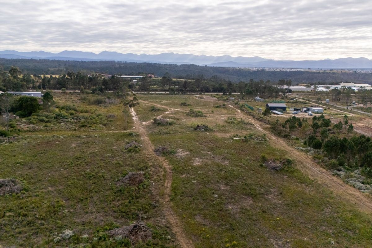 Sole Mandate - Photo 3