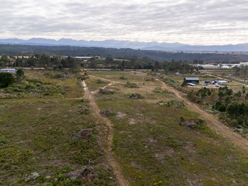 Sole Mandate - Photo 3