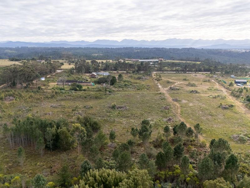 Sole Mandate - Photo 6