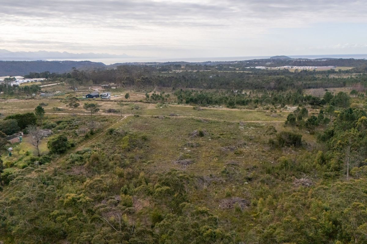 Sole Mandate - Photo 5