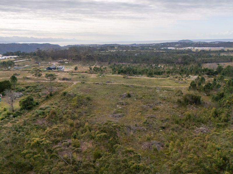 Sole Mandate - Photo 5