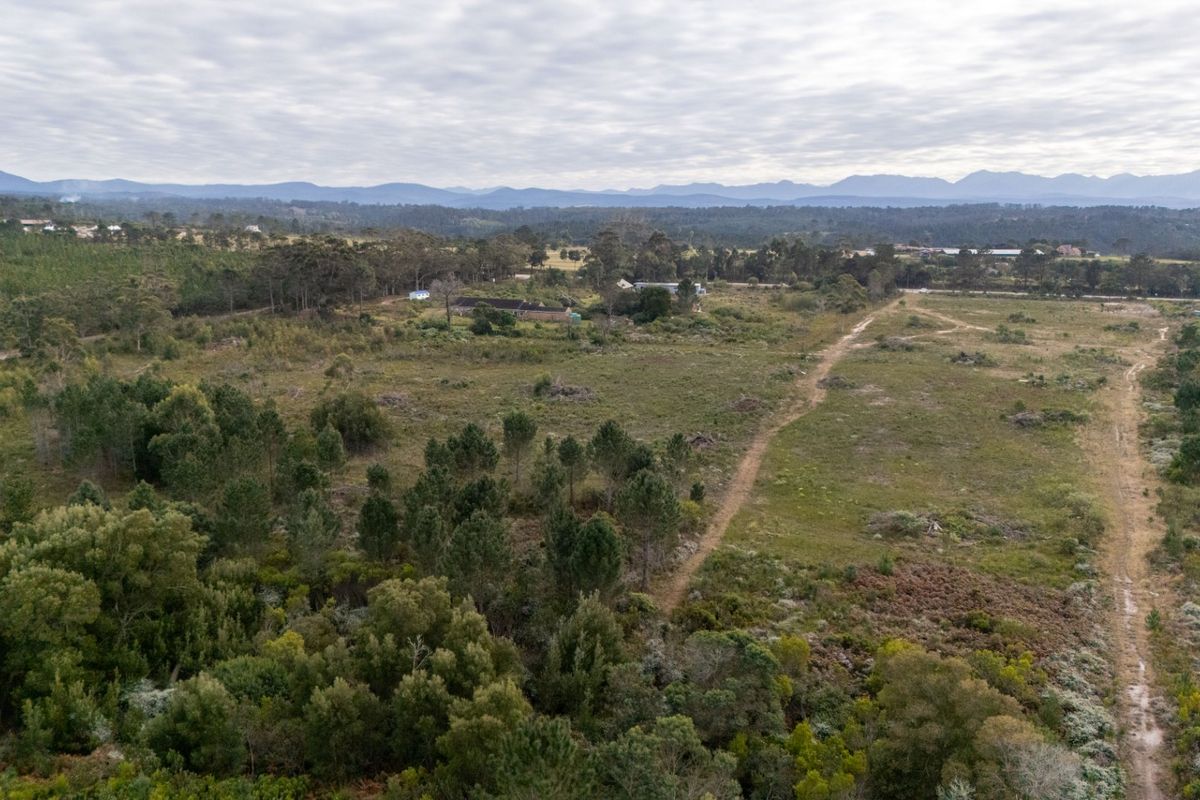 Sole Mandate - Photo 2