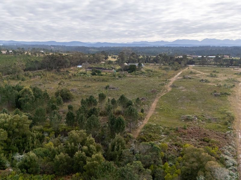 Sole Mandate - Photo 2