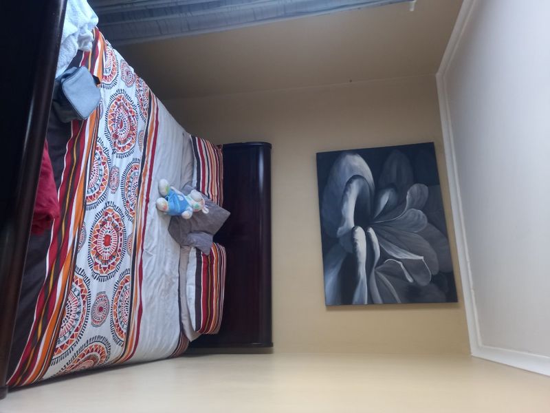 Stunning 3 Bedroom Home for Sale in Hamilton Estate, Kuilsriver(Kalkfontein)  - Photo 10