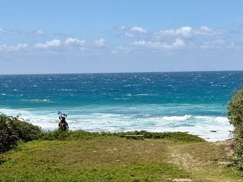 Elegant Beachfront Living with Panoramic Sea Views in Shelly Beach  - Photo 7