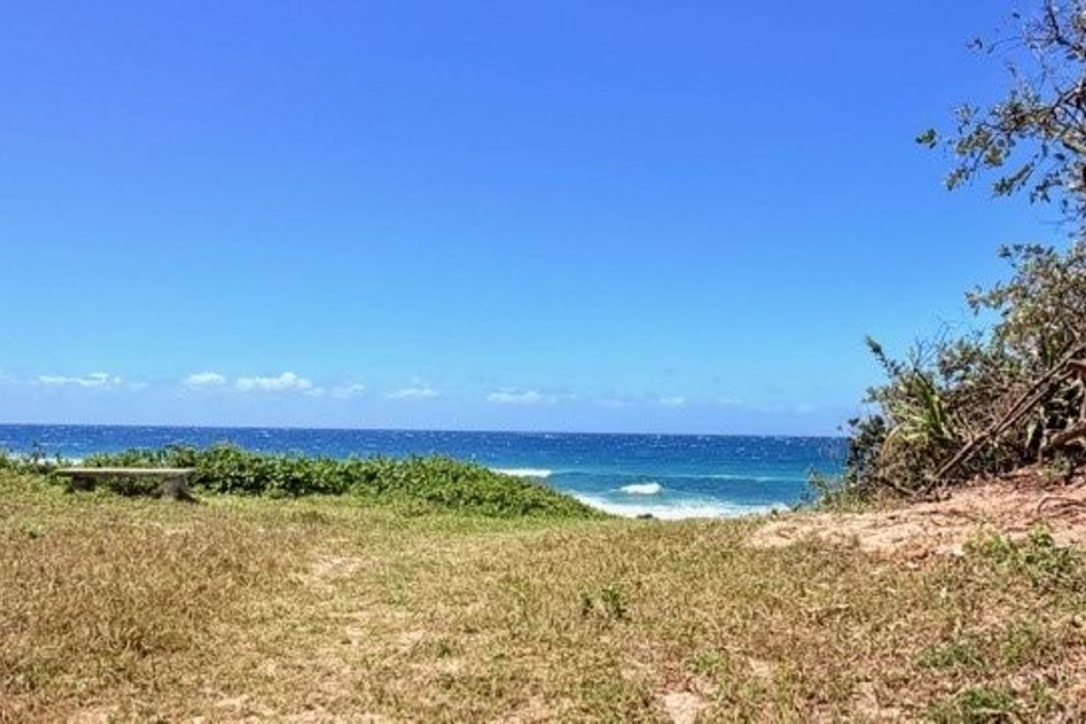 Elegant Beachfront Living with Panoramic Sea Views in Shelly Beach  - Photo 4