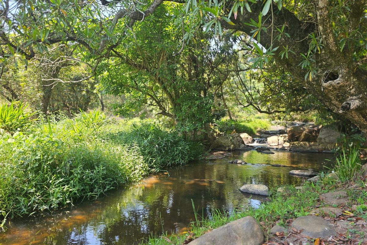 Lifestyle Farm, Close to N4, Beautiful Homes, Water Rights - Photo 3