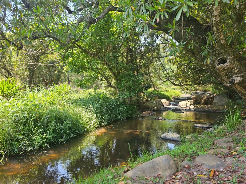 Lifestyle Farm, Close to N4, Beautiful Homes, Water Rights - Photo 3