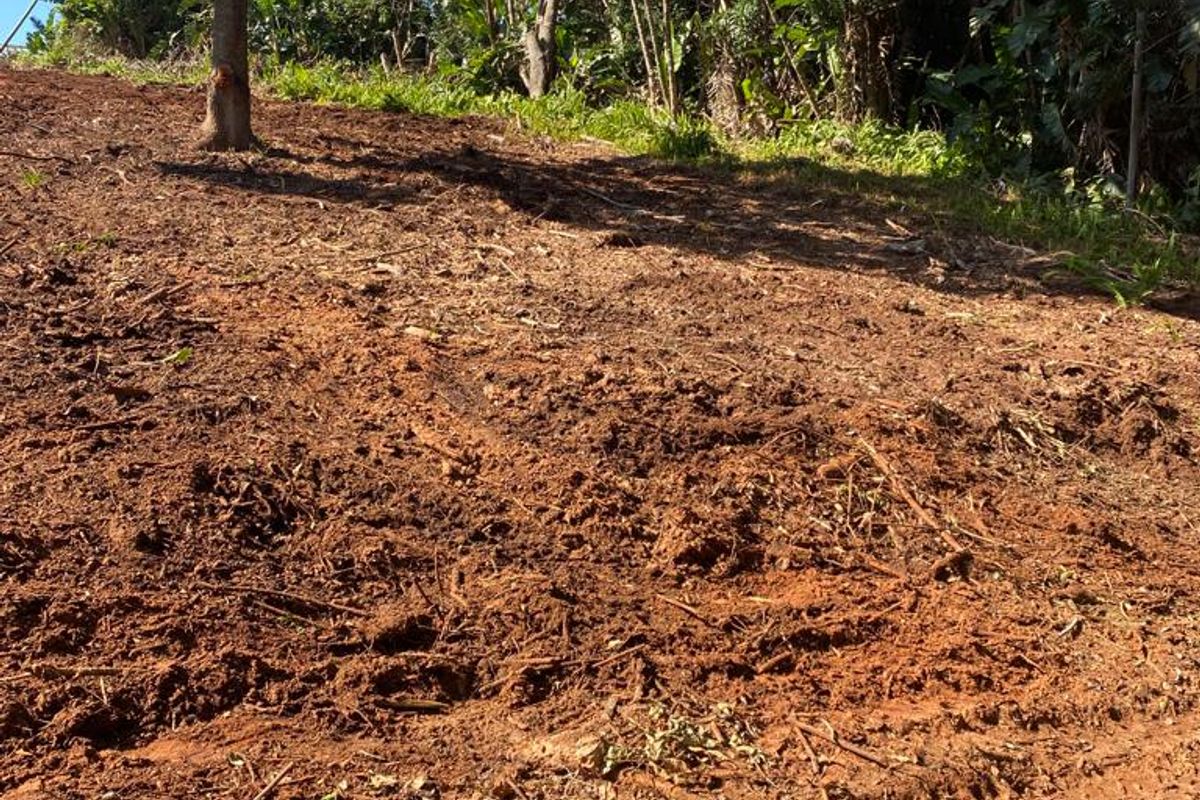 Vacant land in the best part of Leisure Bay in the South Coast KZN - Photo 5