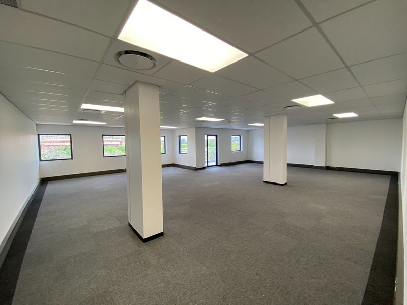 Brand New Suite Available! - Photo 8