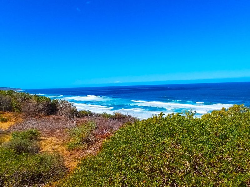 Uninterrupted Ocean Views. A Gem in Fisherman’s Village - Photo 4