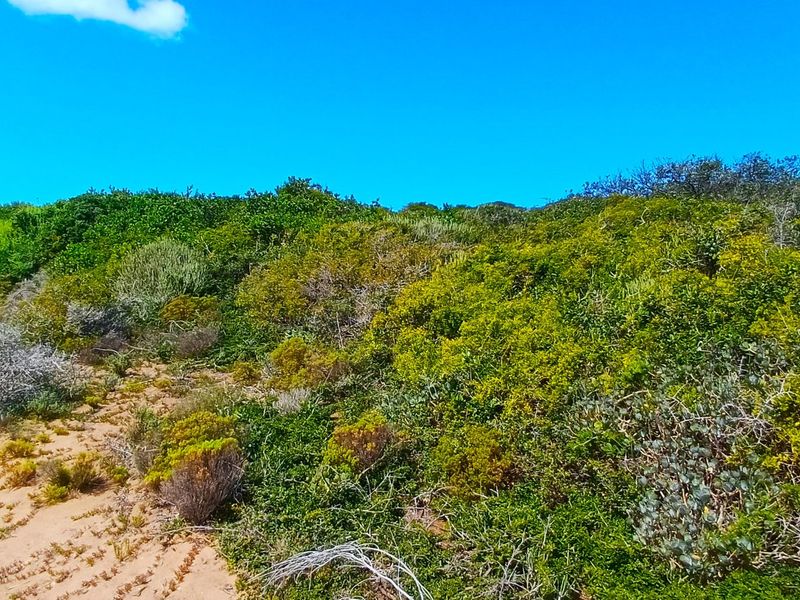 Uninterrupted Ocean Views. A Gem in Fisherman’s Village - Photo 10