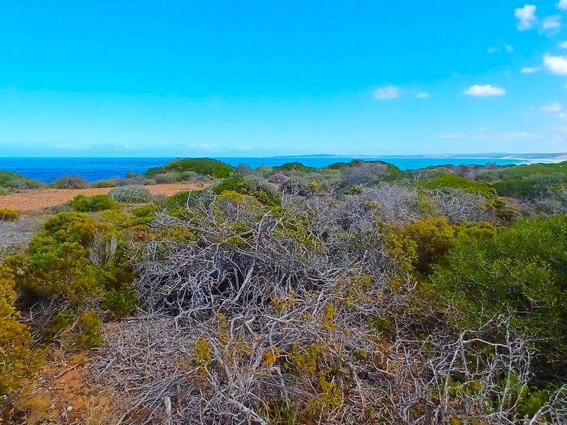 Uninterrupted Ocean Views. A Gem in Fisherman’s Village - Photo 9