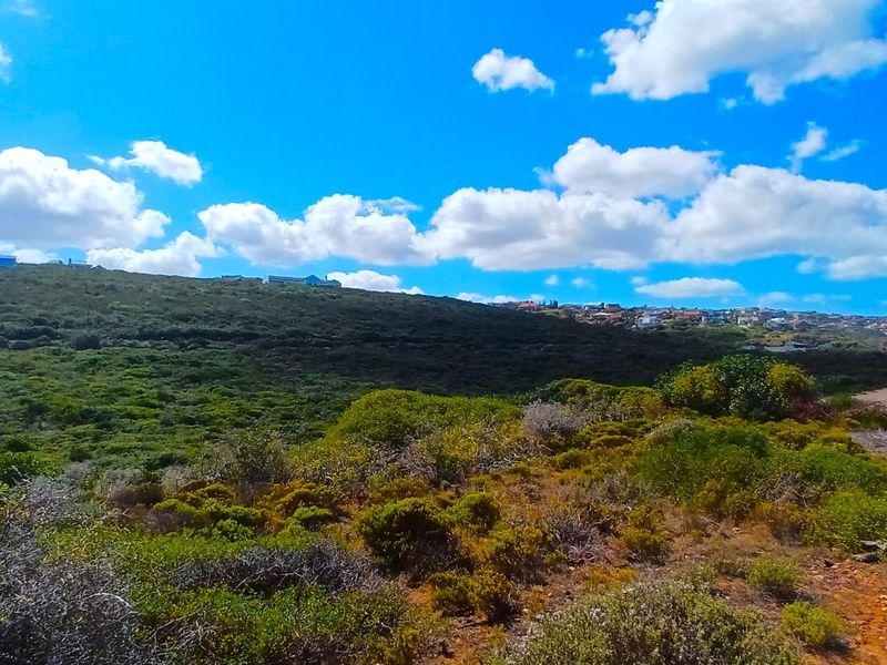 Uninterrupted Ocean Views. A Gem in Fisherman’s Village - Photo 7