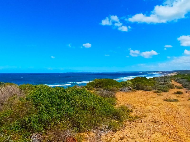 Uninterrupted Ocean Views. A Gem in Fisherman’s Village - Photo 6