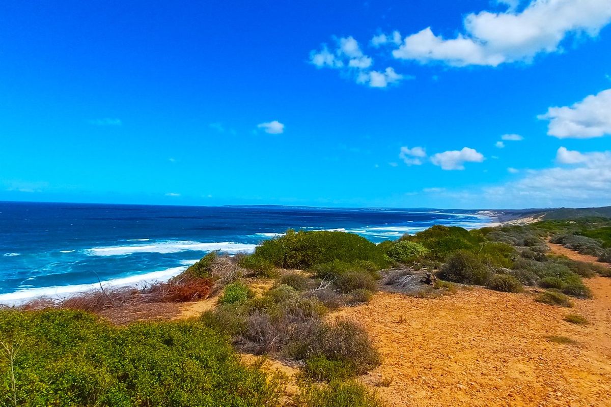 Uninterrupted Ocean Views. A Gem in Fisherman’s Village - Photo 3