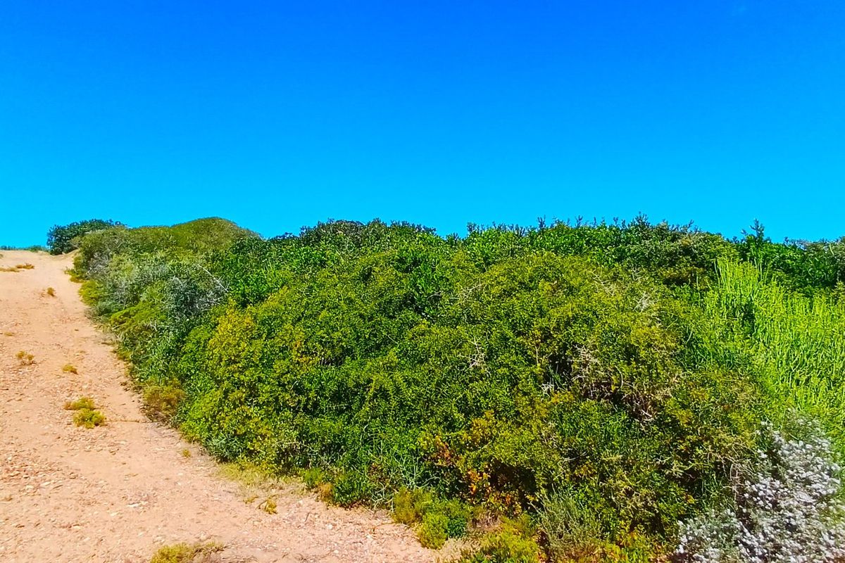 Uninterrupted Ocean Views. A Gem in Fisherman’s Village - Photo 5