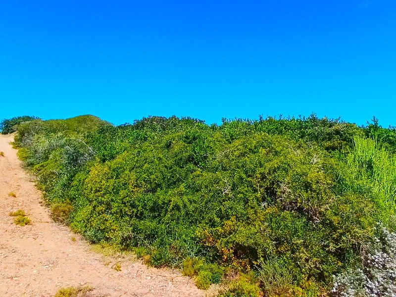 Uninterrupted Ocean Views. A Gem in Fisherman’s Village - Photo 5