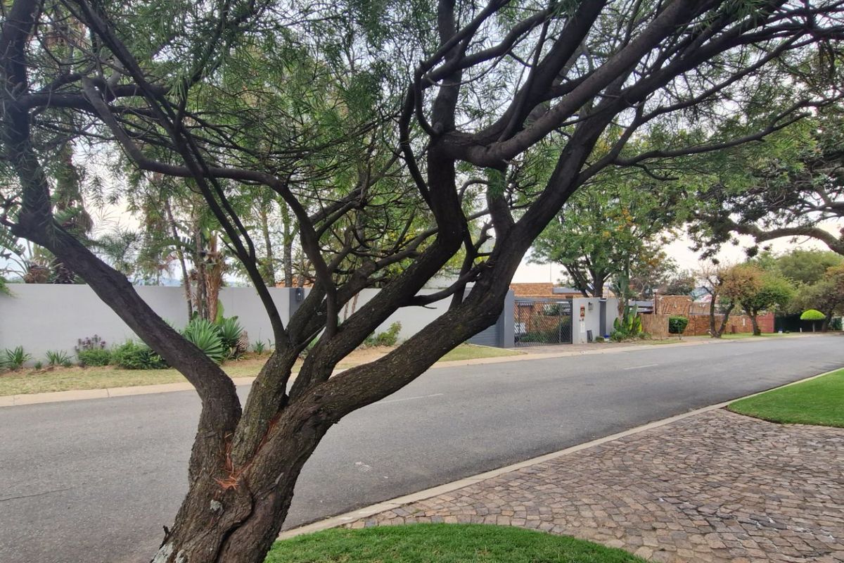 Stunning Spacious 3 Bedrooms 2 Bathrooms  Free-Standing Home with Pool & Solar Stunning Garden And Staff Quarters - Photo 5