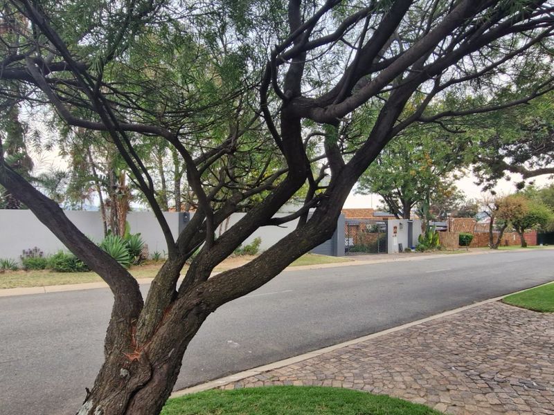 Stunning Spacious 3 Bedrooms 2 Bathrooms  Free-Standing Home with Pool & Solar Stunning Garden And Staff Quarters - Photo 5