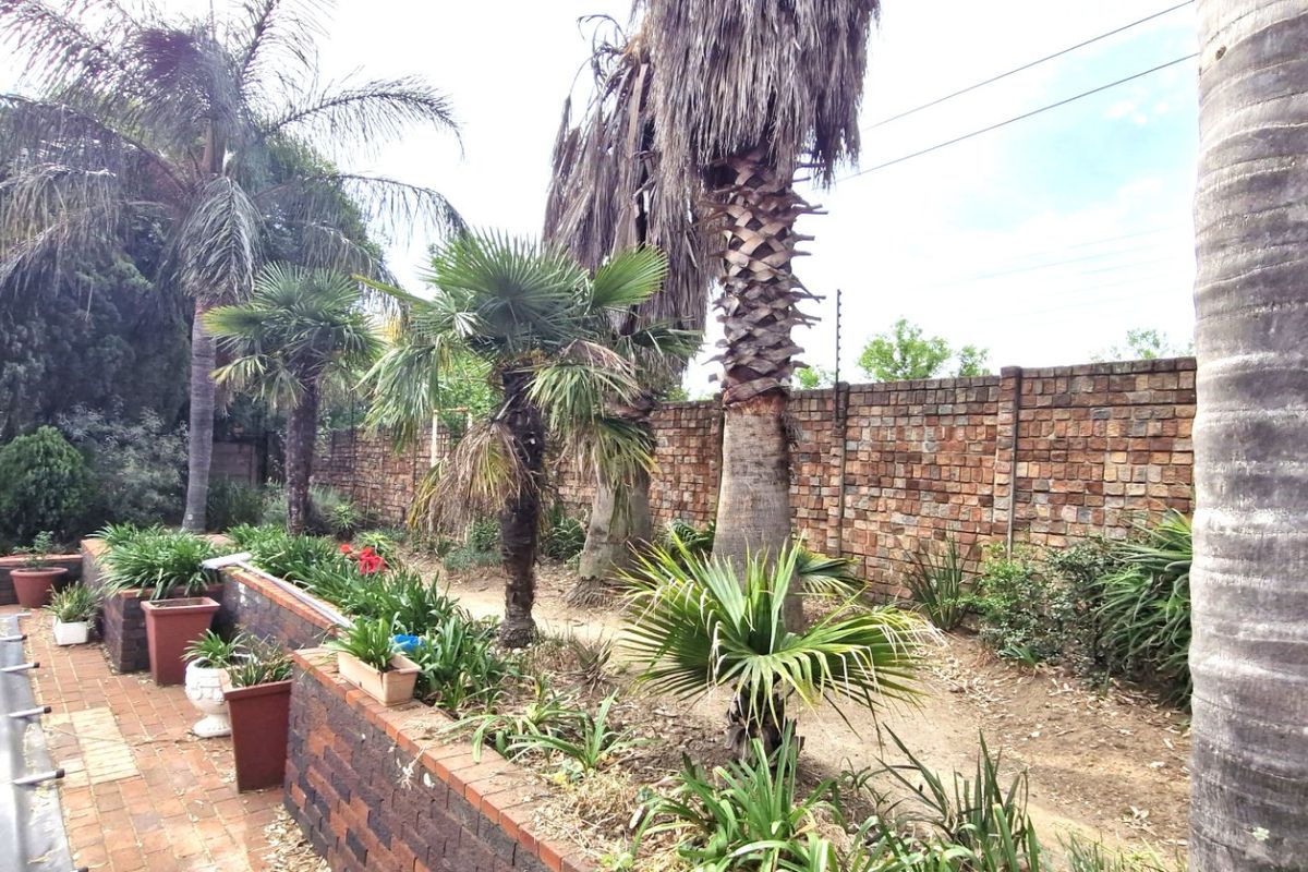 Stunning Spacious 3 Bedrooms 2 Bathrooms  Free-Standing Home with Pool & Solar Stunning Garden And Staff Quarters - Photo 3