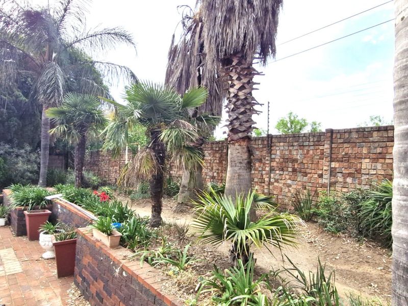 Stunning Spacious 3 Bedrooms 2 Bathrooms  Free-Standing Home with Pool & Solar Stunning Garden And Staff Quarters - Photo 3