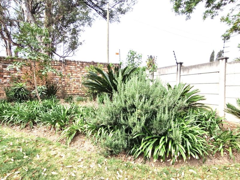 Stunning Spacious 3 Bedrooms 2 Bathrooms  Free-Standing Home with Pool & Solar Stunning Garden And Staff Quarters - Photo 8