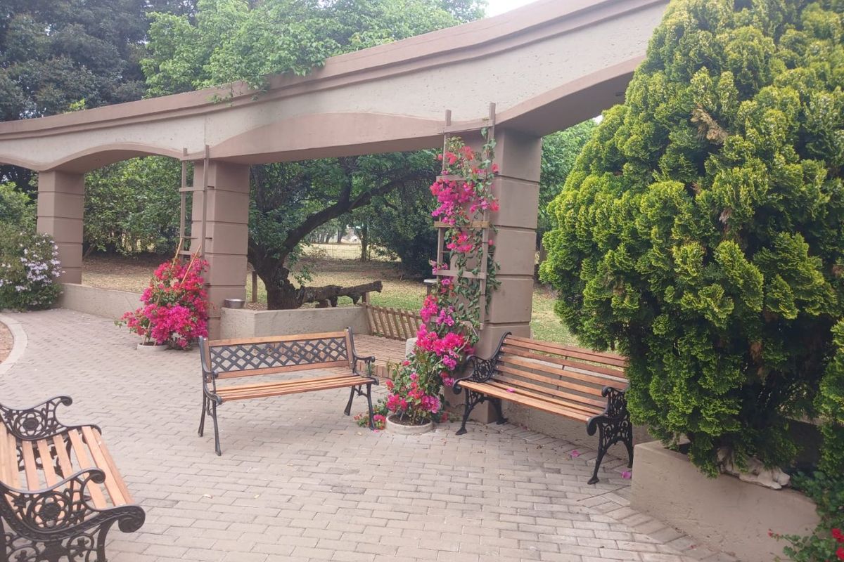 BEAUTIFUL OFF-THE-GRID GUESTHOUSE WITH LOTS OF POTENTIAL – Benoni Small Farms - Photo 5