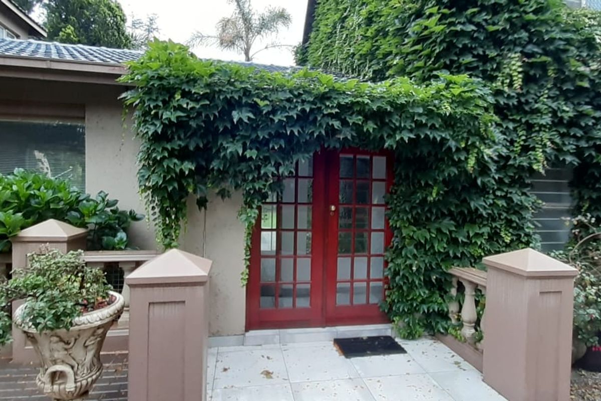 BEAUTIFUL OFF-THE-GRID GUESTHOUSE WITH LOTS OF POTENTIAL – Benoni Small Farms - Photo 3