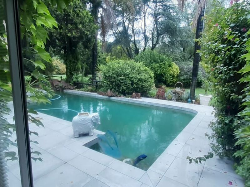 View of a swimming pool with a tiled surround, framed by lush garden greenery and accessed via a sliding glass door.