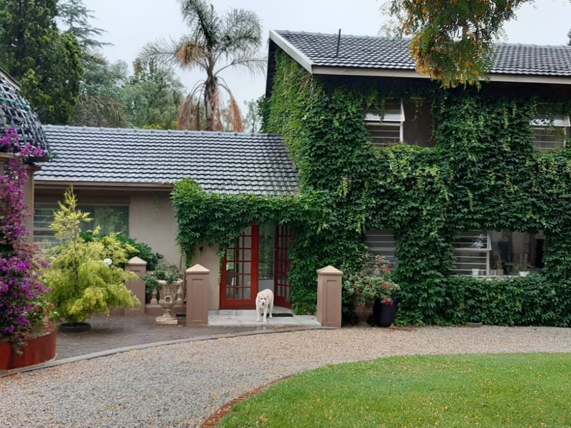Front elevation of a house featuring a gravel driveway, tiled roof, and a distinctive metal gazebo structure surrounded by mature climbing ivy.