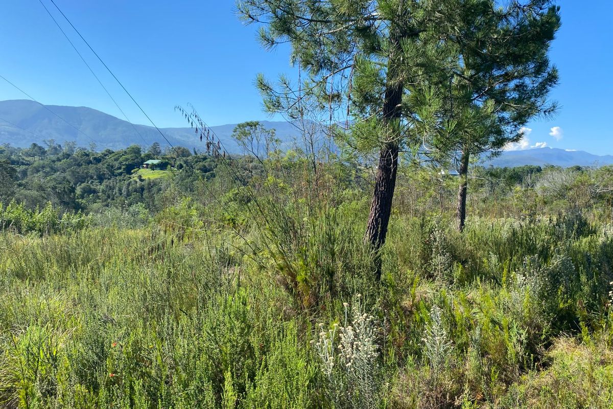 Vacant Land with Beautiful Mountain views  - Photo 2