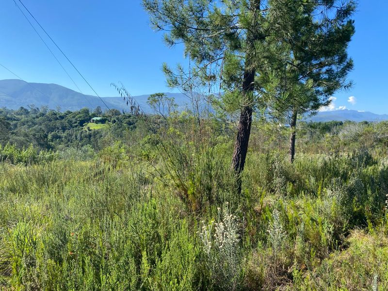 Vacant Land with Beautiful Mountain views  - Photo 2