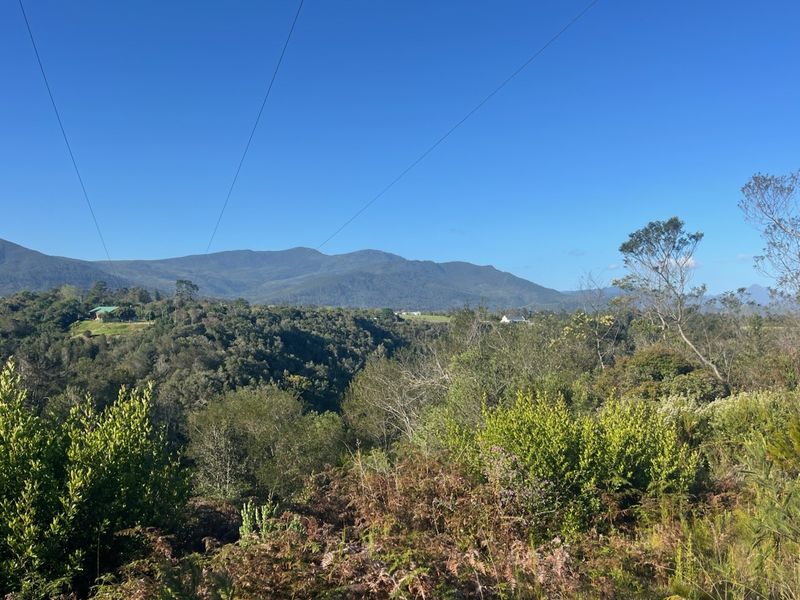 Vacant Land with Beautiful Mountain views  - Photo 5