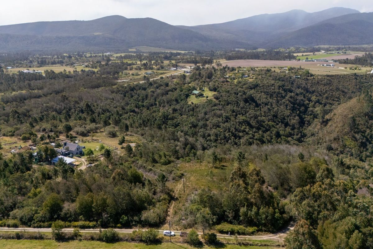 An aerial view of a large, undeveloped residential land parcel featuring native vegetation, surrounding forest, and mountain vistas.