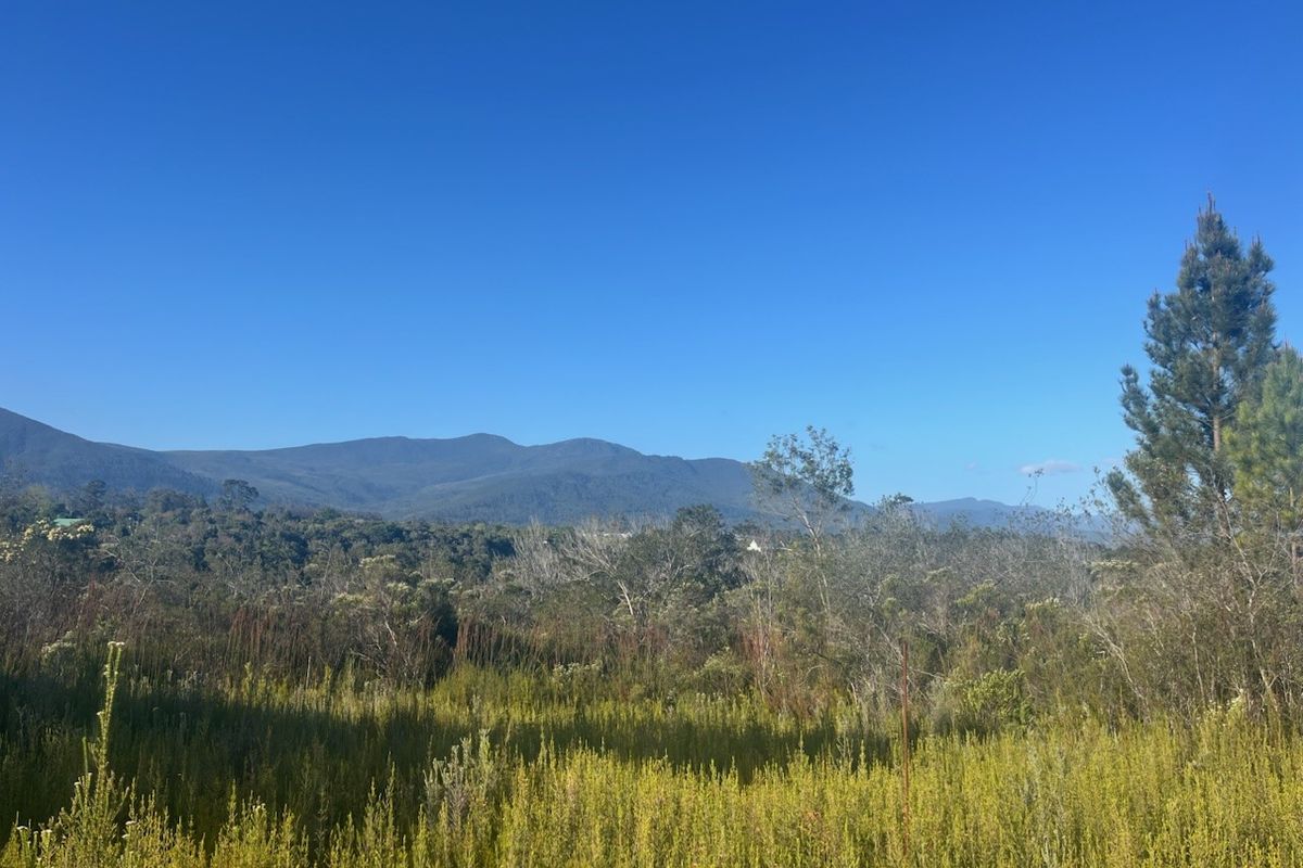 A scenic view of the natural landscape featuring native vegetation and distant mountain ranges, showcasing the property's tranquil surroundings.