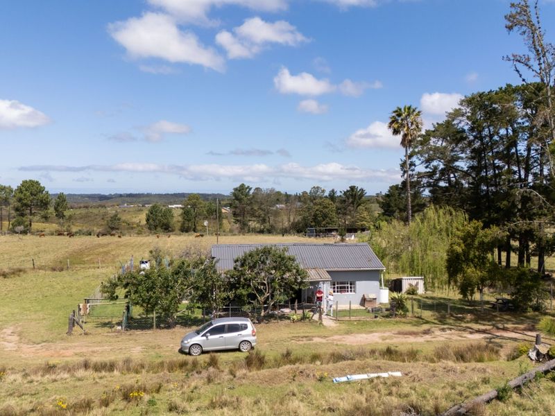 Small Farm with Grazing, Mountain Views - Photo 6
