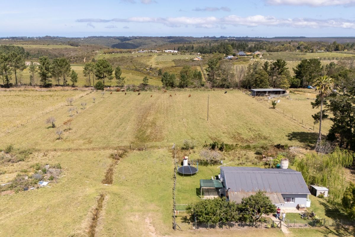 Small Farm with Grazing, Mountain Views - Photo 4